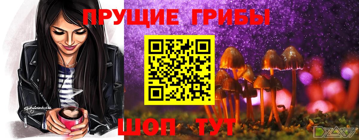 Северодвинск  Галлюциногенные грибы Magic Shrooms  Вход с VPN 